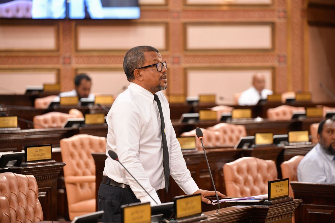 ފޭކު ސަނަދު ގެންގުޅުން ޖިނައީ ކުށަކަށް ހަދަން މަޖިލީހަށް ހުށަހަޅައިފި